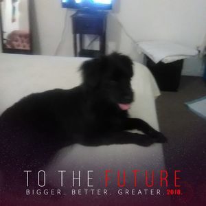 Meet your Posher, Weslyn